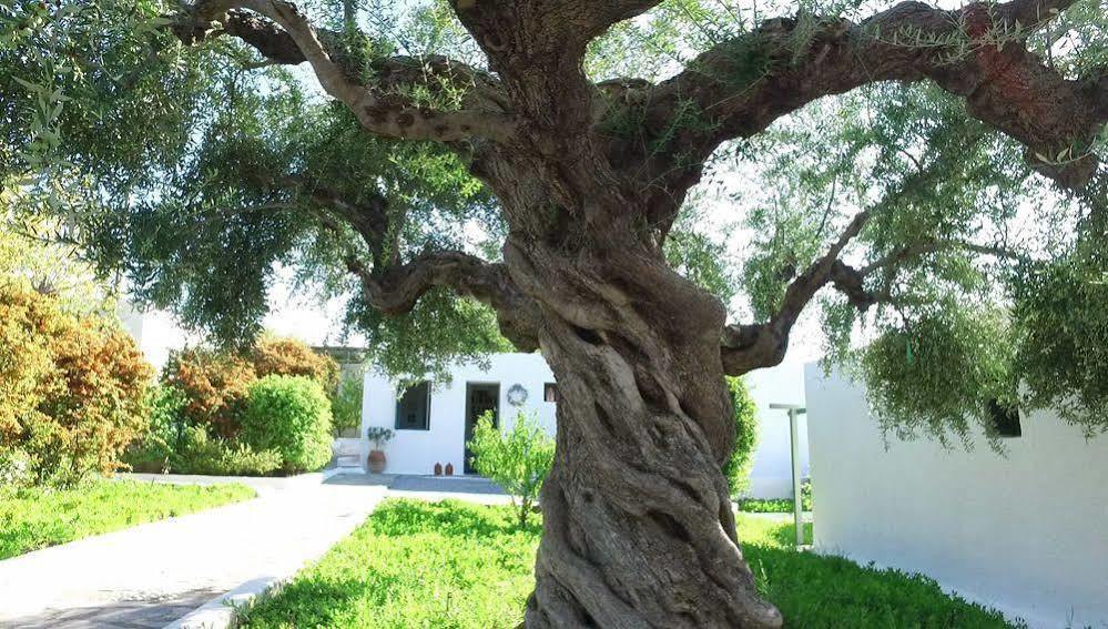 Niriides Villas Selinitsa Exteriér fotografie