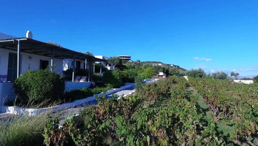 Niriides Villas Selinitsa Exteriér fotografie